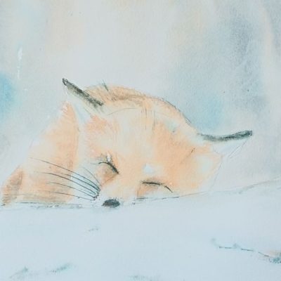 Snowy Mr Fox