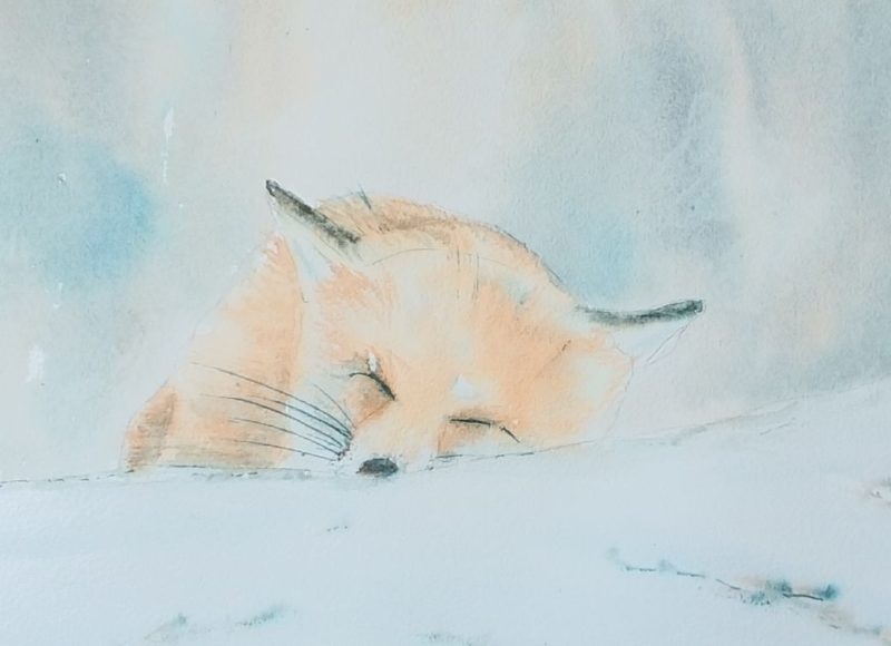 Snowy Mr Fox