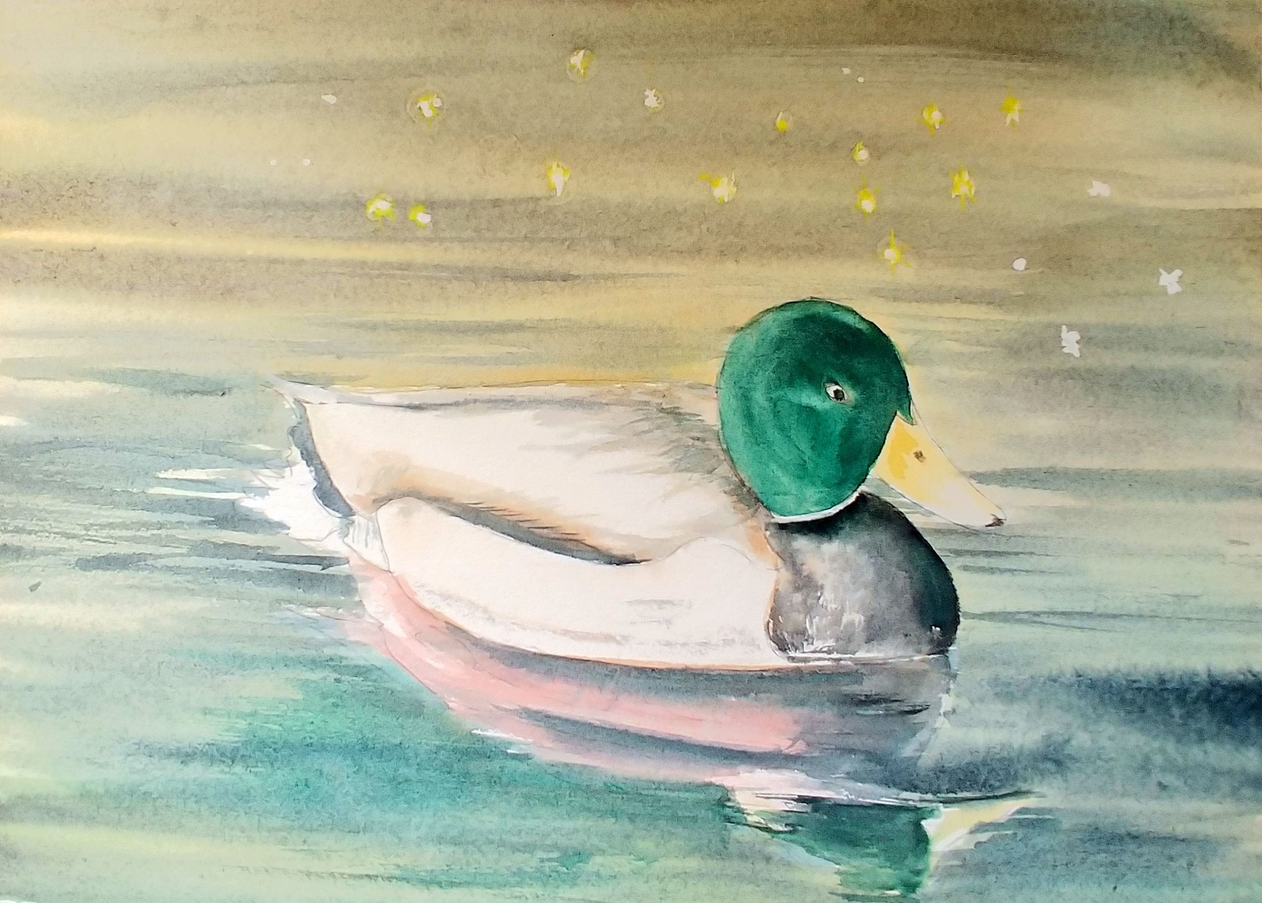 Mallard
